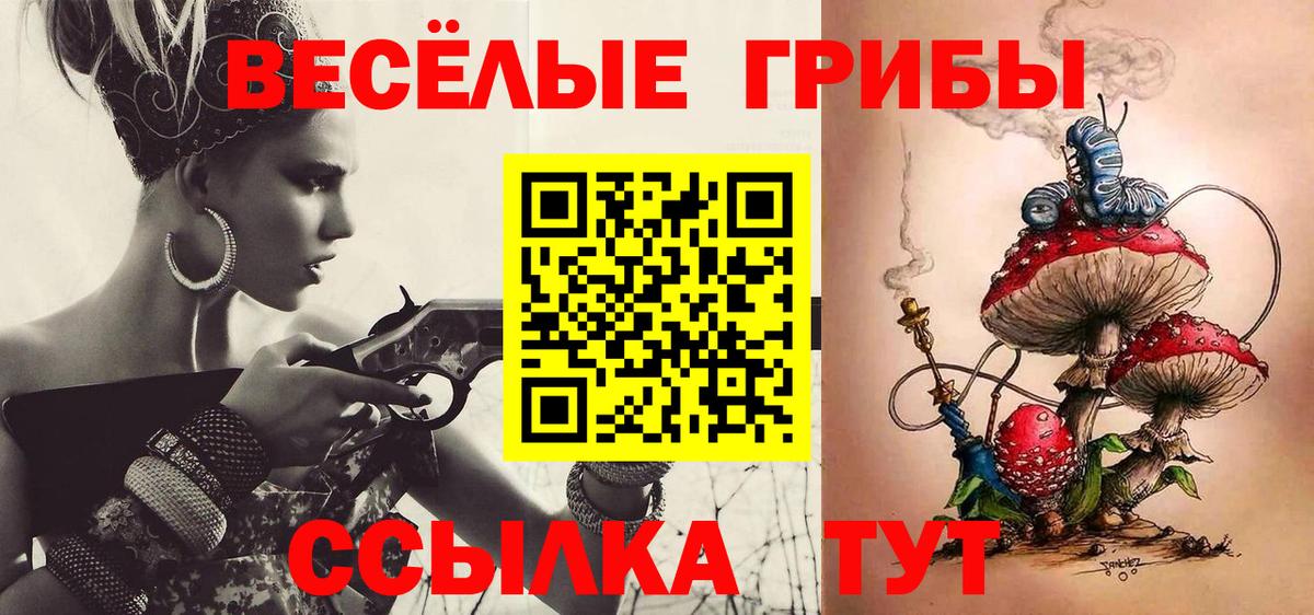 Таганрог  Галлюциногенные грибы Psilocybe  Вход с VPN 